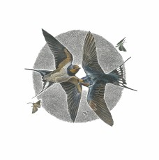 /userimg/RMxDJ/Wilson, Nicholas_Soaring Twins.jpg